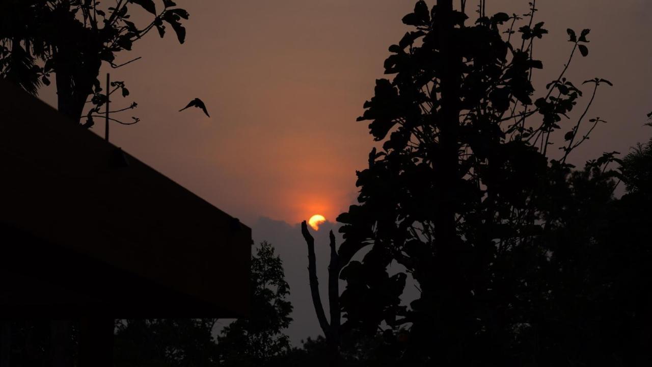 Annus Homestay Ramakkalmedu Exteriér fotografie